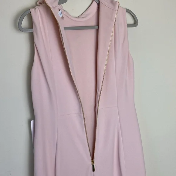 NWT Calvin Klein Women's Sleeveless Seamed Sheath With Tie Neck Pink Size 8 - Picture 11 of 16